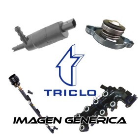 Triclo 161762 Torn. 5X19 Varios Renault